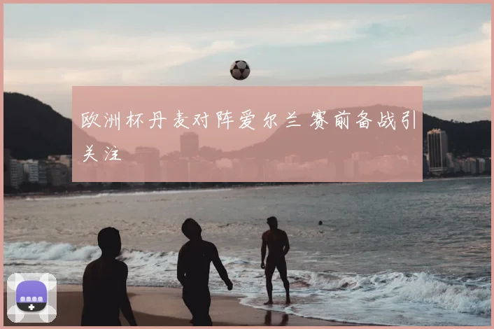 欧洲杯丹麦对阵爱尔兰 赛前备战引关注