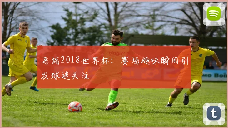 恶搞2018世界杯：赛场趣味瞬间引发球迷关注
