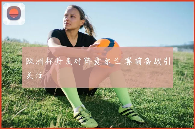 欧洲杯丹麦对阵爱尔兰 赛前备战引关注
